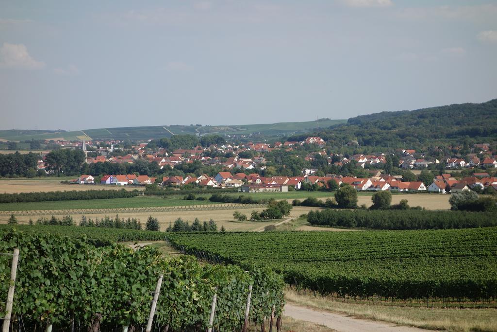 Antjes Ferienwohnung Flonheim Kamer foto