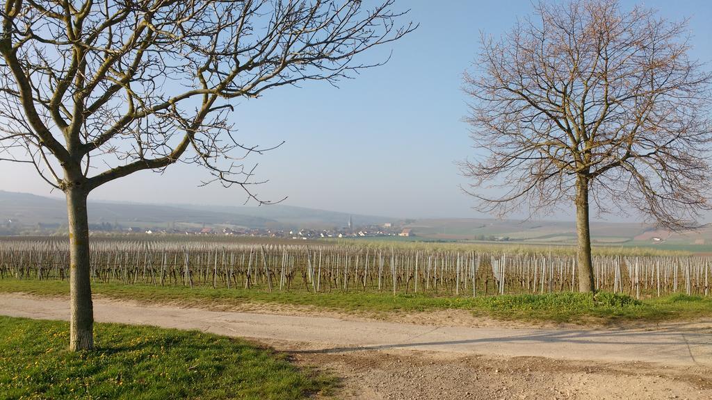 Antjes Ferienwohnung Flonheim Buitenkant foto