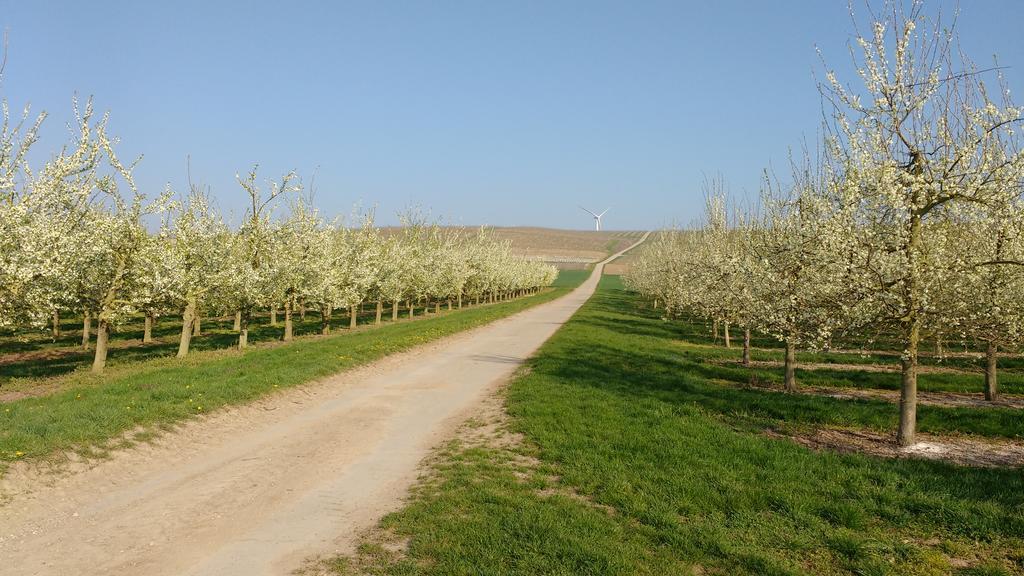 Antjes Ferienwohnung Flonheim Buitenkant foto